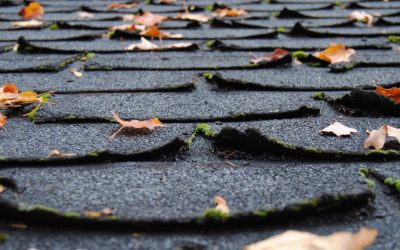 6 Tasks to Add to Your Yearly Roof Maintenance Checklist