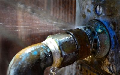 Emergency Home Repairs You Shouldn’t Ignore: Protect Your Home and Wallet